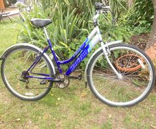 Hybrid Bike
