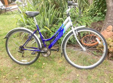 Hybrid Bike