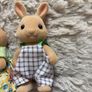 sylvanian Image 5