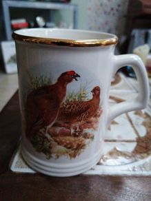 Vintage Arklow Tankard