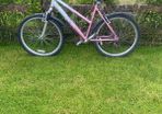 ladies bike