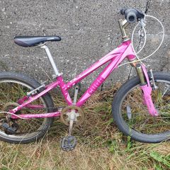 Cuda Kinetic 20" girls bike
