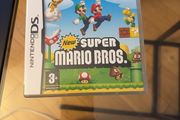 Nintendo DS Super Mario Bros game