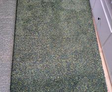 Rug Green large