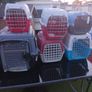 cat and dog carry cages Image 2