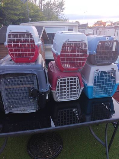 cat and dog carry cages