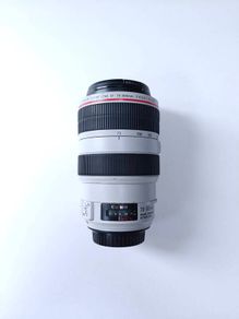 Canon 70-300mm L Series F4-5.6 IS Lens