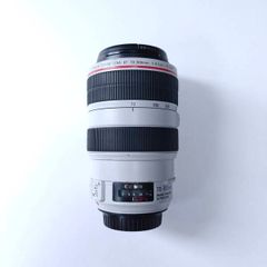 Canon 70-300mm L Series F4-5.6 IS Lens