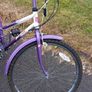 Female Type Tourer Bicycle Image 6
