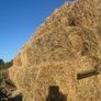 Hay Image 3