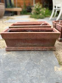 Window Boxes with Trays