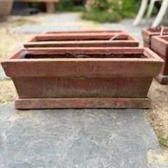 Window Boxes with Trays