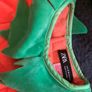 Super soft Zara pumpkin costume Image 2