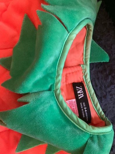 Super soft Zara pumpkin costume