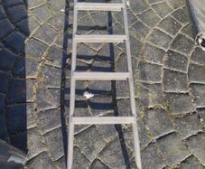 Van/campervan rear door ladder