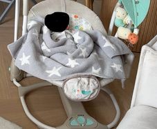 ingenuity baby swing