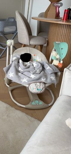 ingenuity baby swing