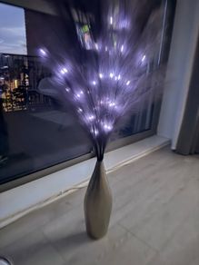vase & pompous grass