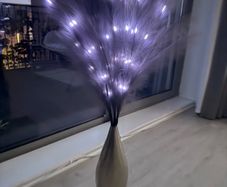 vase & pompous grass