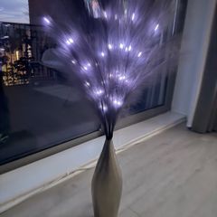 vase & pompous grass