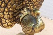 Vintage Brass Lot