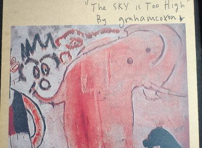 Graham Coxon (Blur) - The Sky Is Too High Vinyl LP (1998) Limited Edition MINT