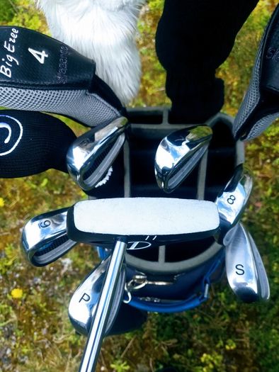 Set of Ladies Golf Clubs