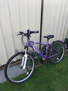 Ladies bike