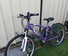 Ladies bike