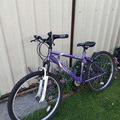 Ladies bike