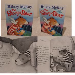 The Story Of Bear, Children,s Book By Hilary Mckay