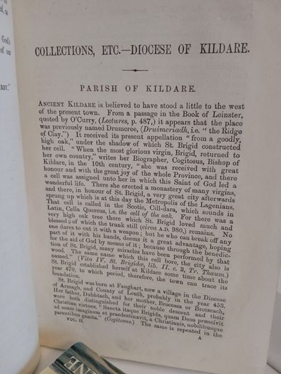 Collections Relating to the Dioceses of Kildare and Leighlin: Second Series - Diocese of Kildare by Rev. M. Comerford (RB18)