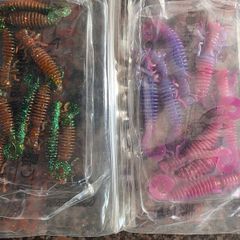 lures