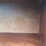 bookcase Image 3