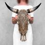 Large authentic brown bull skull Lotus motifs Image 2