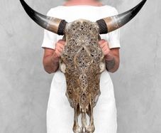 Large authentic brown bull skull Lotus motifs
