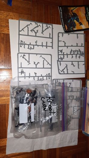 T'AU Empire Fire Warrior + Kroot Carnivore & TAU Codex