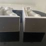 Pair of 9 inch tall English Bulldog bookends Image 7