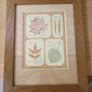 Large Framed Botanical Print Leaf Albums Wood Frame Image 5