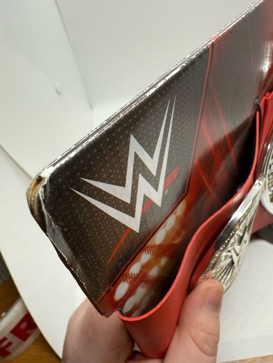 wwe Kids Raw tag team championship title