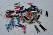 Clothes Pegs