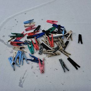 Clothes Pegs