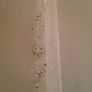 Never worn - Brand new Wedding Dress mermaid tail style Image 10
