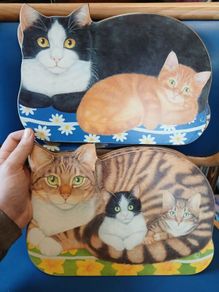 Cat placemats