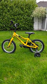 Ridgeback MX 14 kids bike