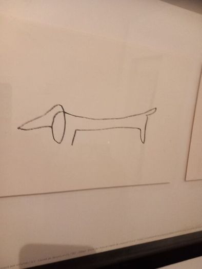 picasso animal study lithographs mounted/framed
