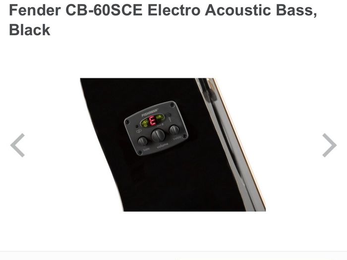 Fender 6B-60SCE Electro acoustic bass