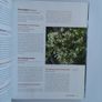 encyclopedia of exotic plants for temperate climates by Will Giles Image 4