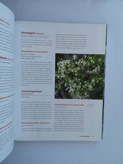 encyclopedia of exotic plants for temperate climates by Will Giles