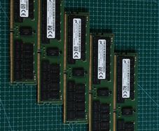 Ram